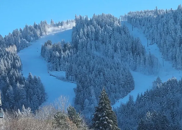 chalets les biches Gérardmer